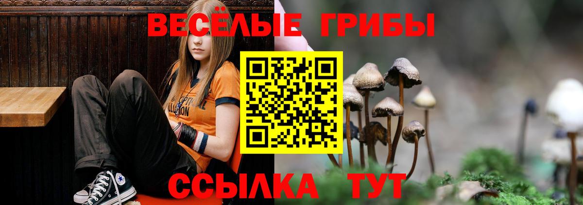 Мирный  Галлюциногенные грибы Magic Shrooms  Вход с VPN 