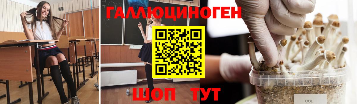 Псилоцибиновые грибы мухоморы Мирный